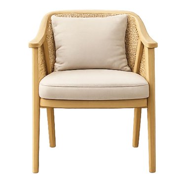 Contemporary Rattan Cane Chair with Ergonomic Wrap Around Backrest Manufacturers, Suppliers in Delhi